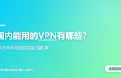 国内能用的VPN有哪些？2026年8月还能买到的四家
